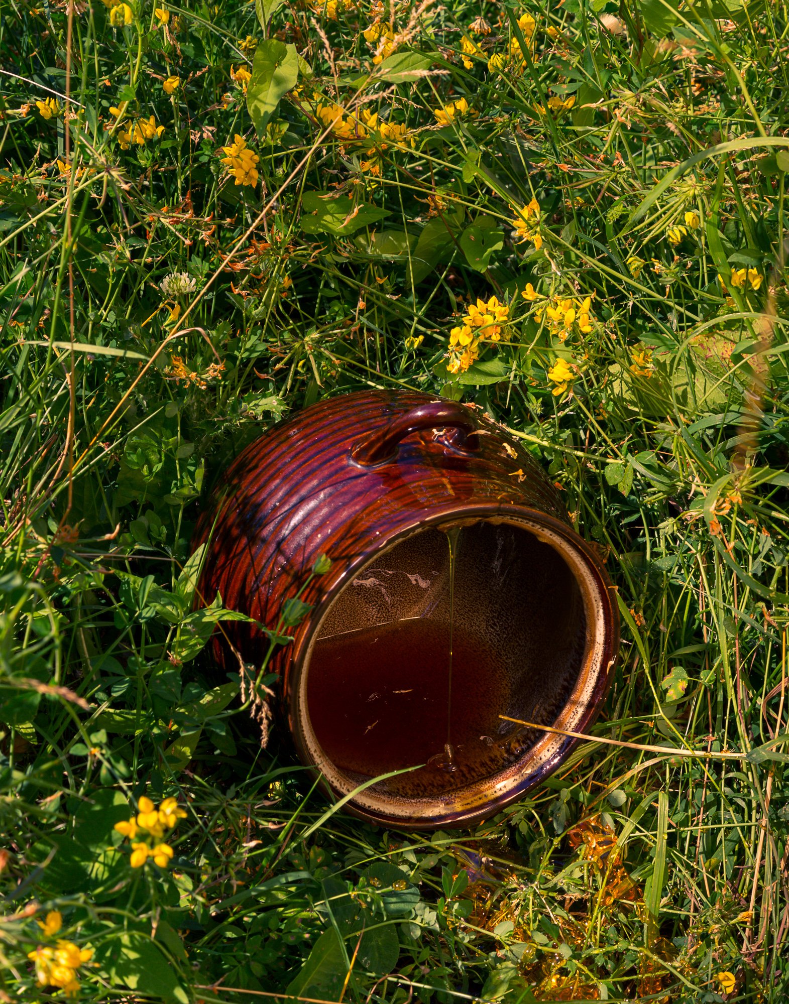   Honey Pot  Adrain Chesser, Steven Miller, and Timothy White Eagle, 2013 