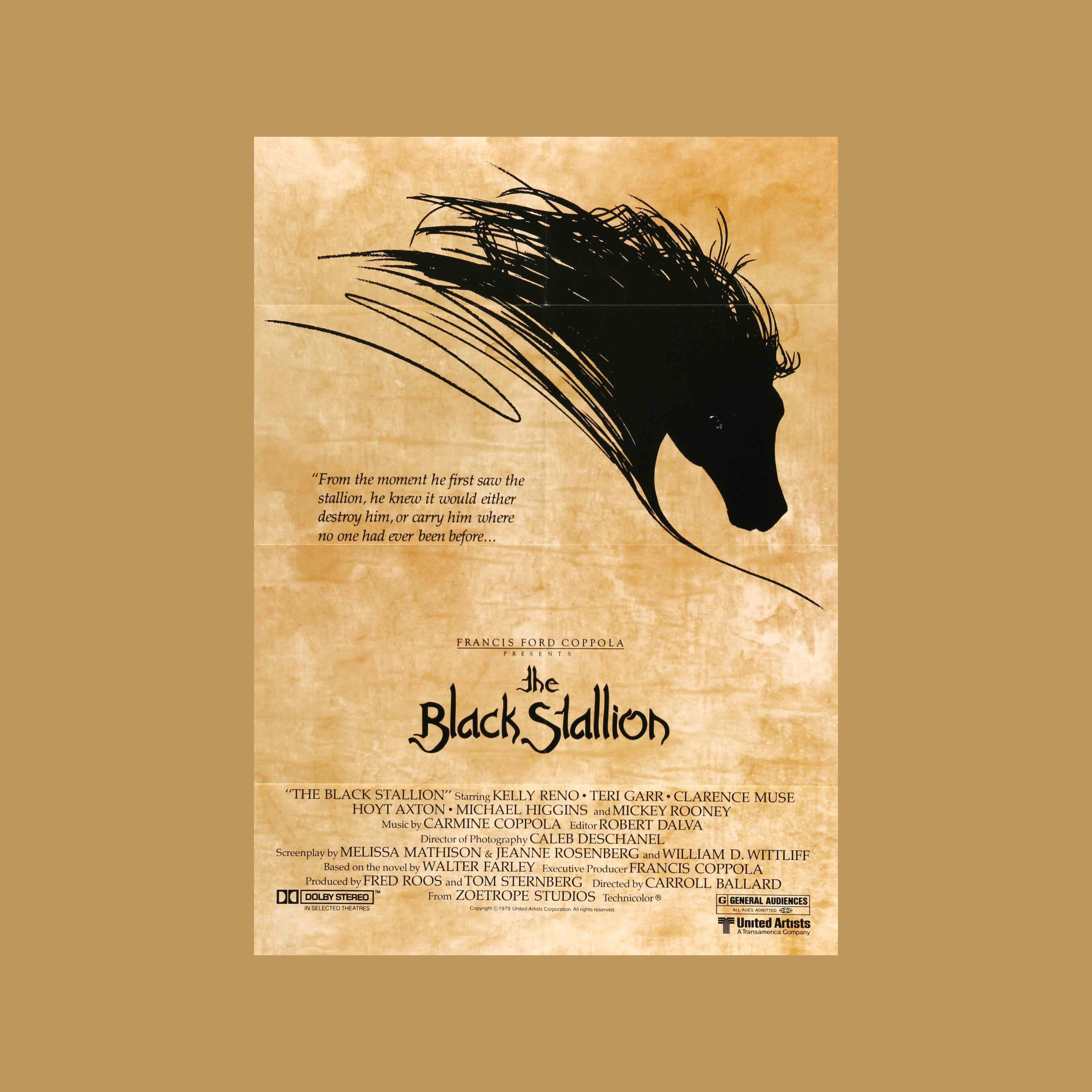 The Black Stallion