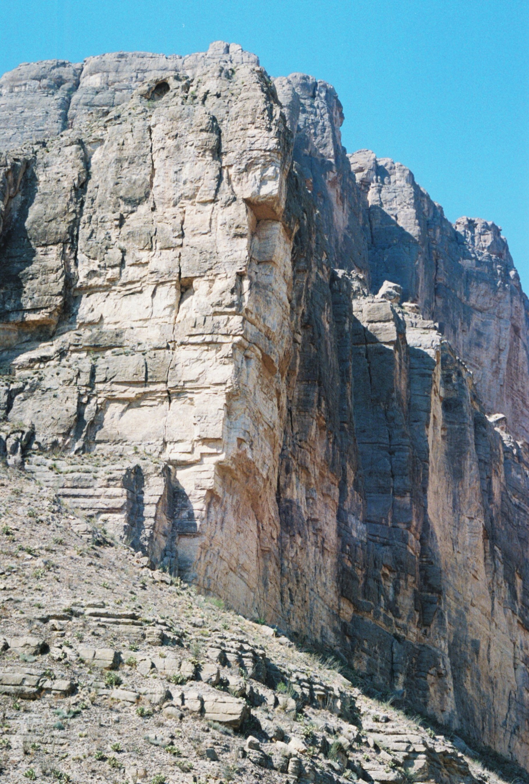 0004073_0004073-R1-005-1.jpg