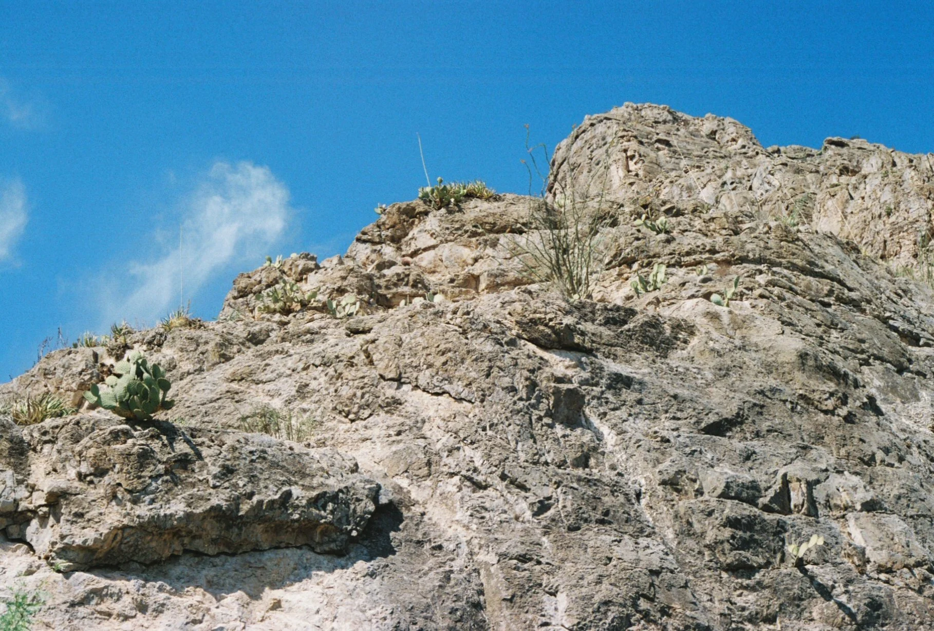 0004073_0004073-R1-013-5.jpg