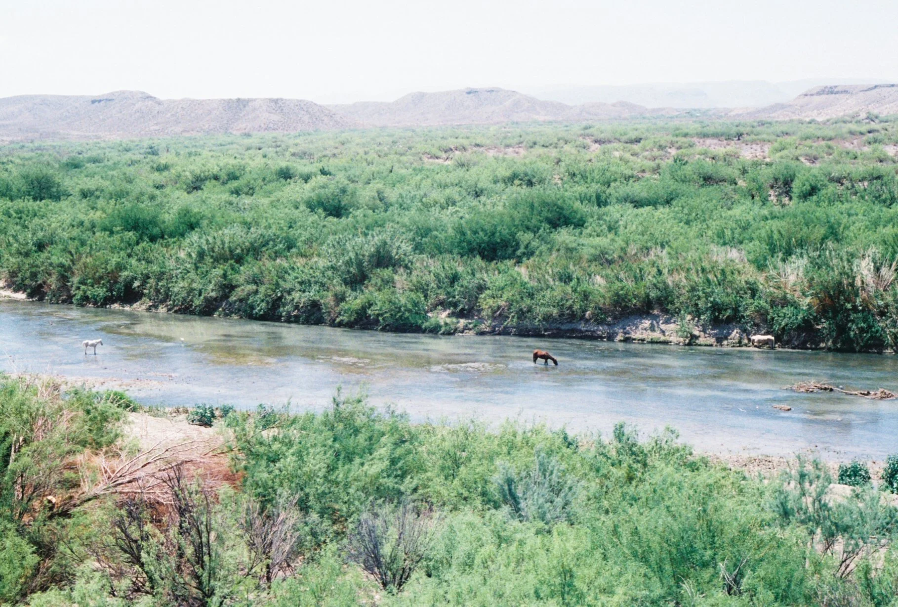 0004073_0004073-R1-065-31.jpg