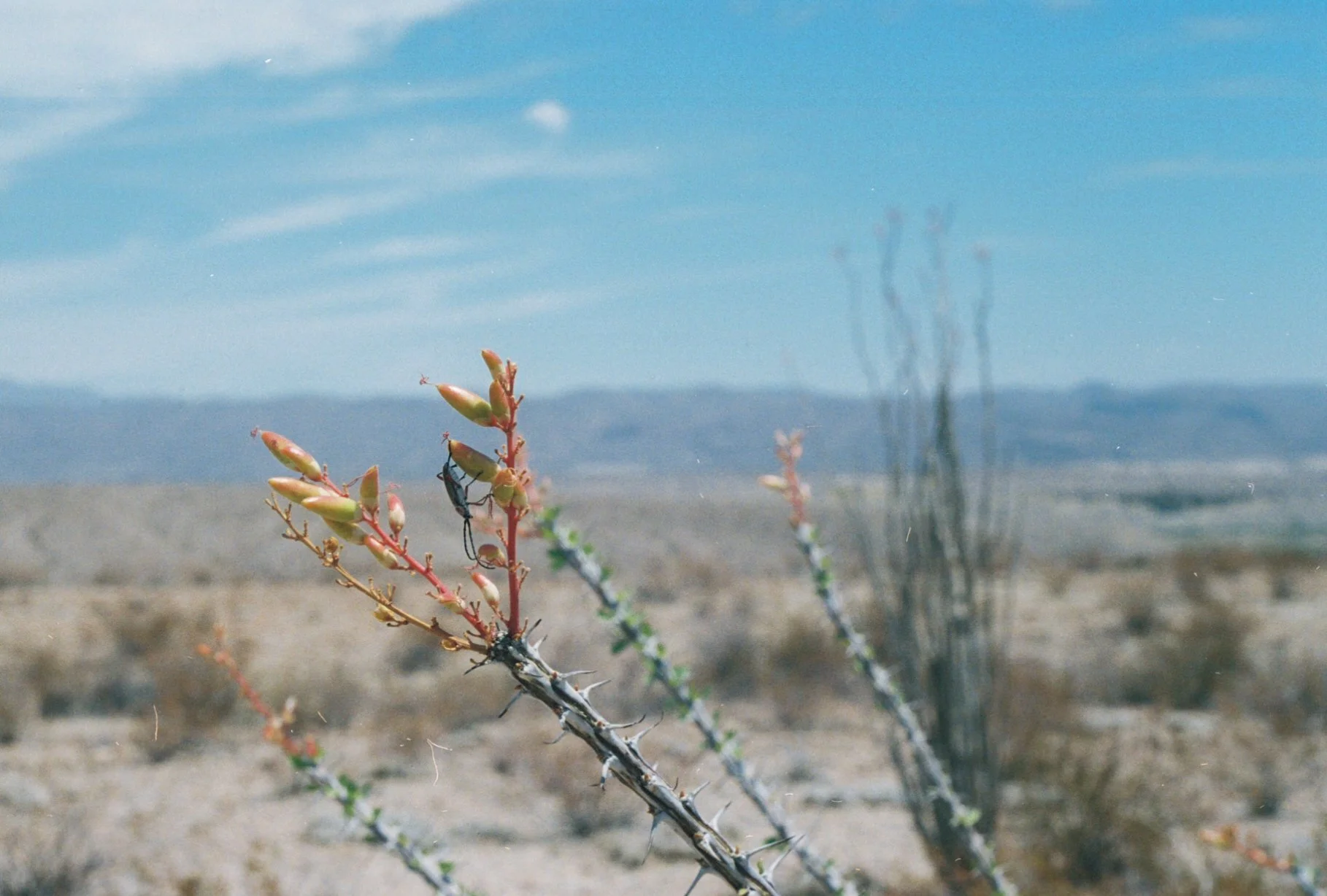 0004073_0004073-R1-071-34.jpg
