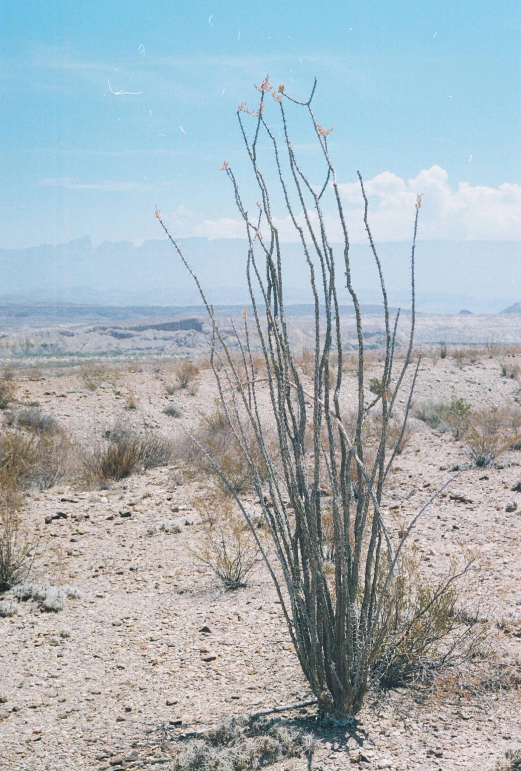 0004073_0004073-R1-073-35.jpg