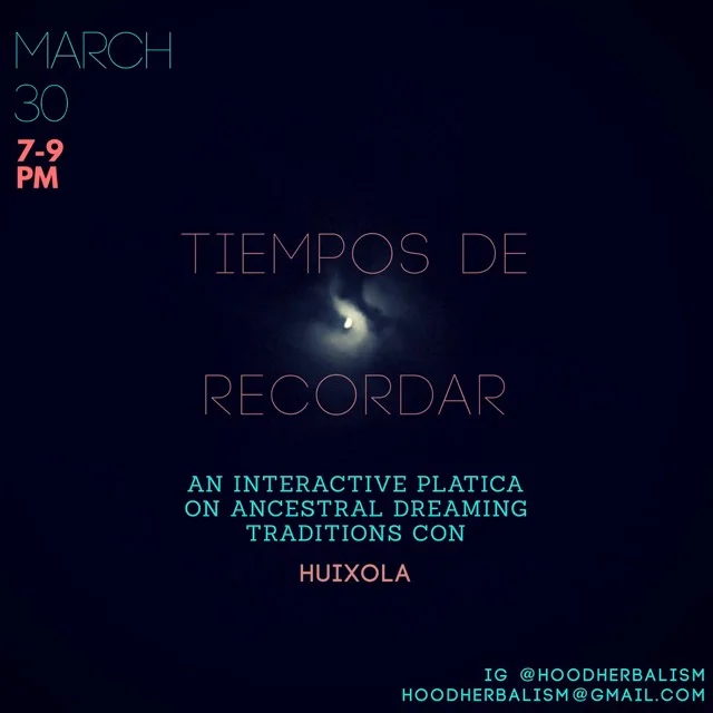 Connecting With the Dream World