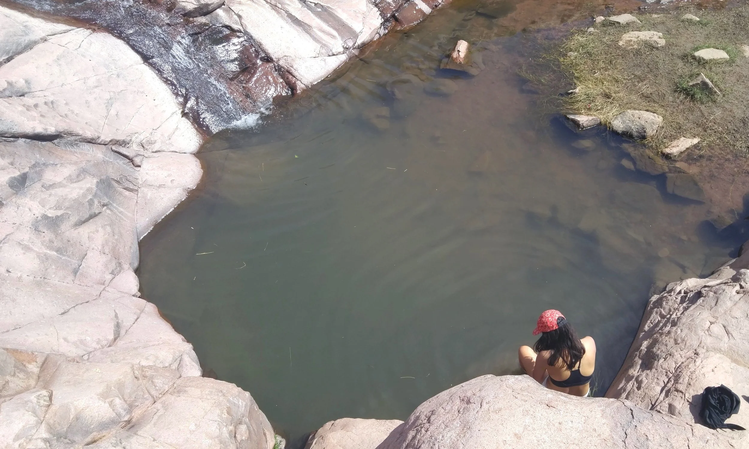 Blanca cooling off in a pool of water on the Hieroglyphic Trail in Arizona. March 2019 Photo credit: Christina Catanese