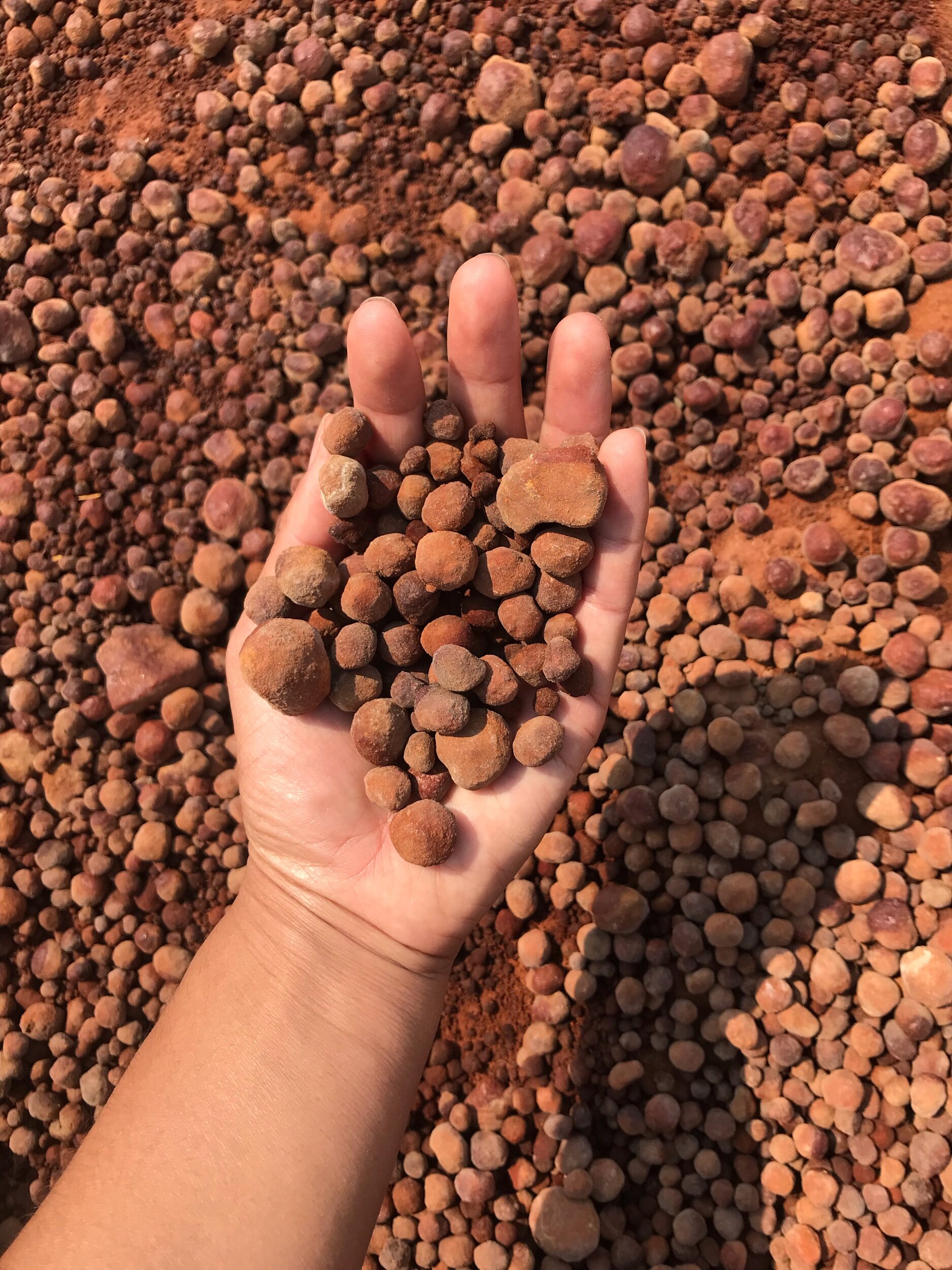 Smoothed over rocks from local geyser.