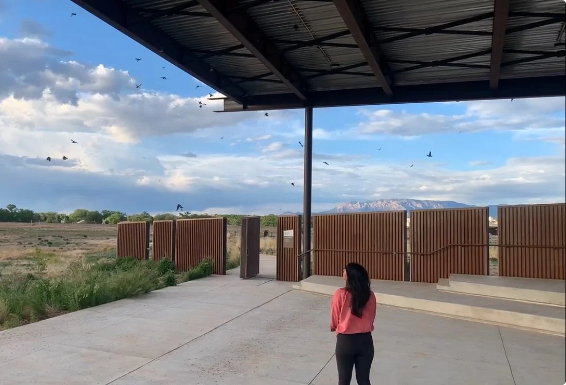 Song Dog Anniversary at Valle de Oro National Wildlife Refuge