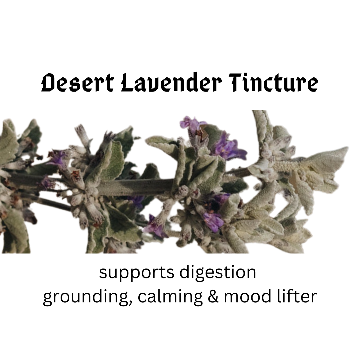 desert lavender label small 2025.png