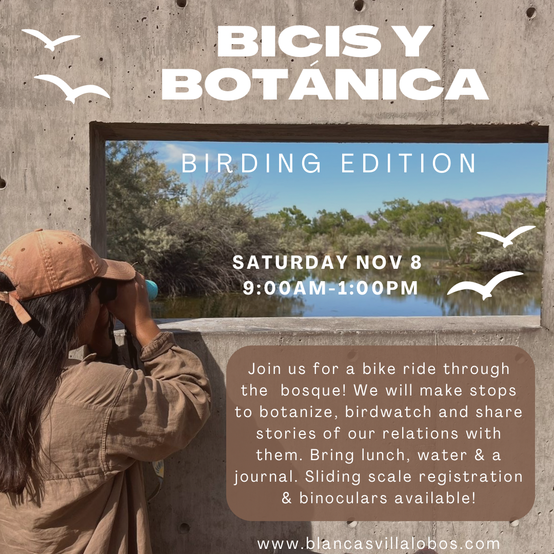 bicis_botanica_nov_8_2025.PNG