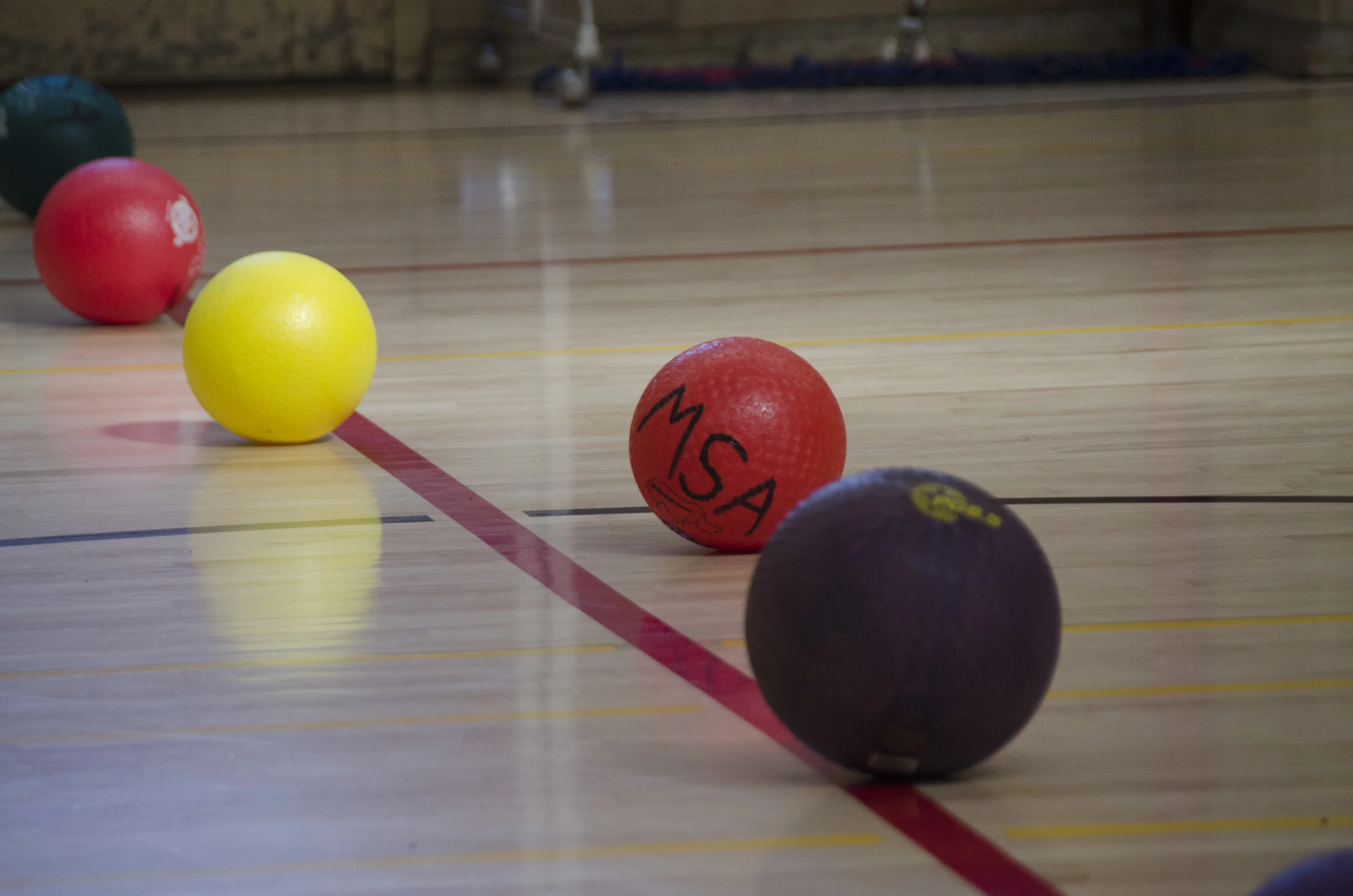 Brothers Dodgeball 2016