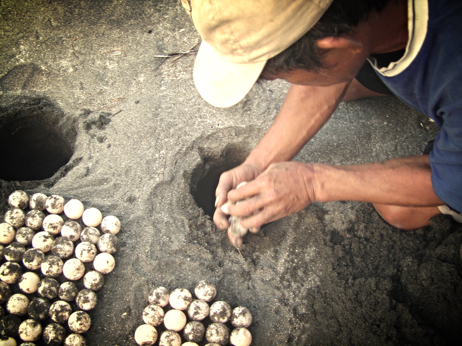 Poachers turned Saviors