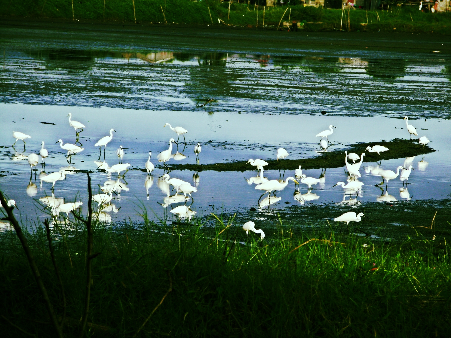 Tortugas: Bataan's Birdwatching Paradise