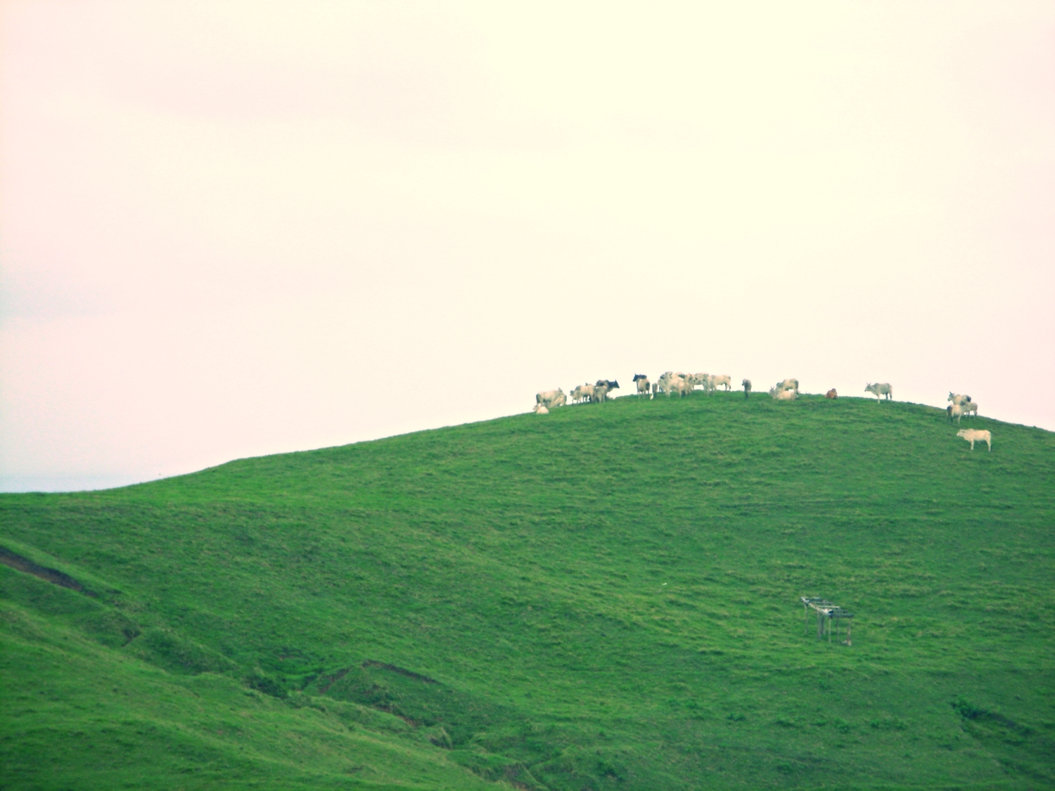 The hills are alive
