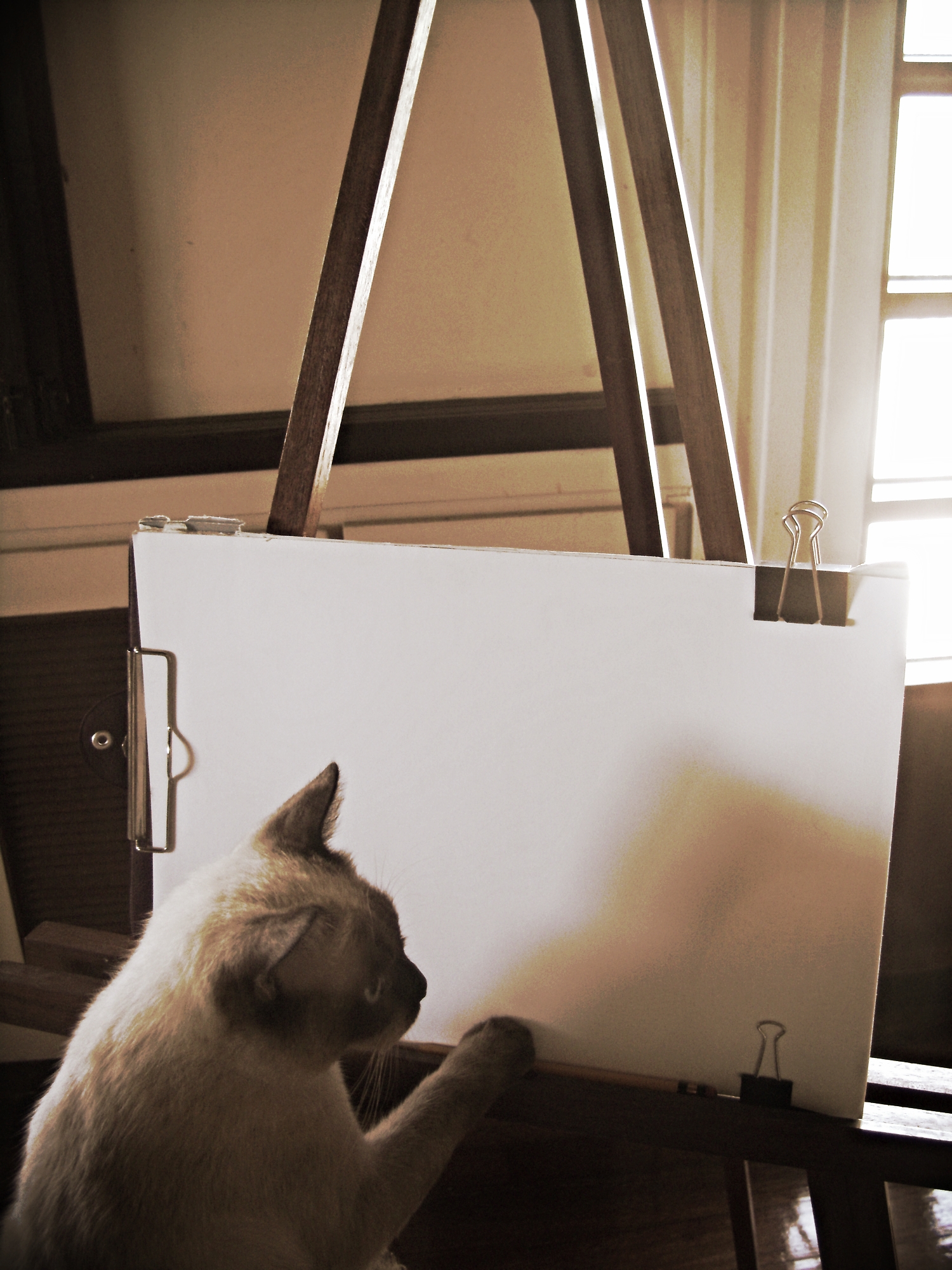 Art's gotta start somewhere...
