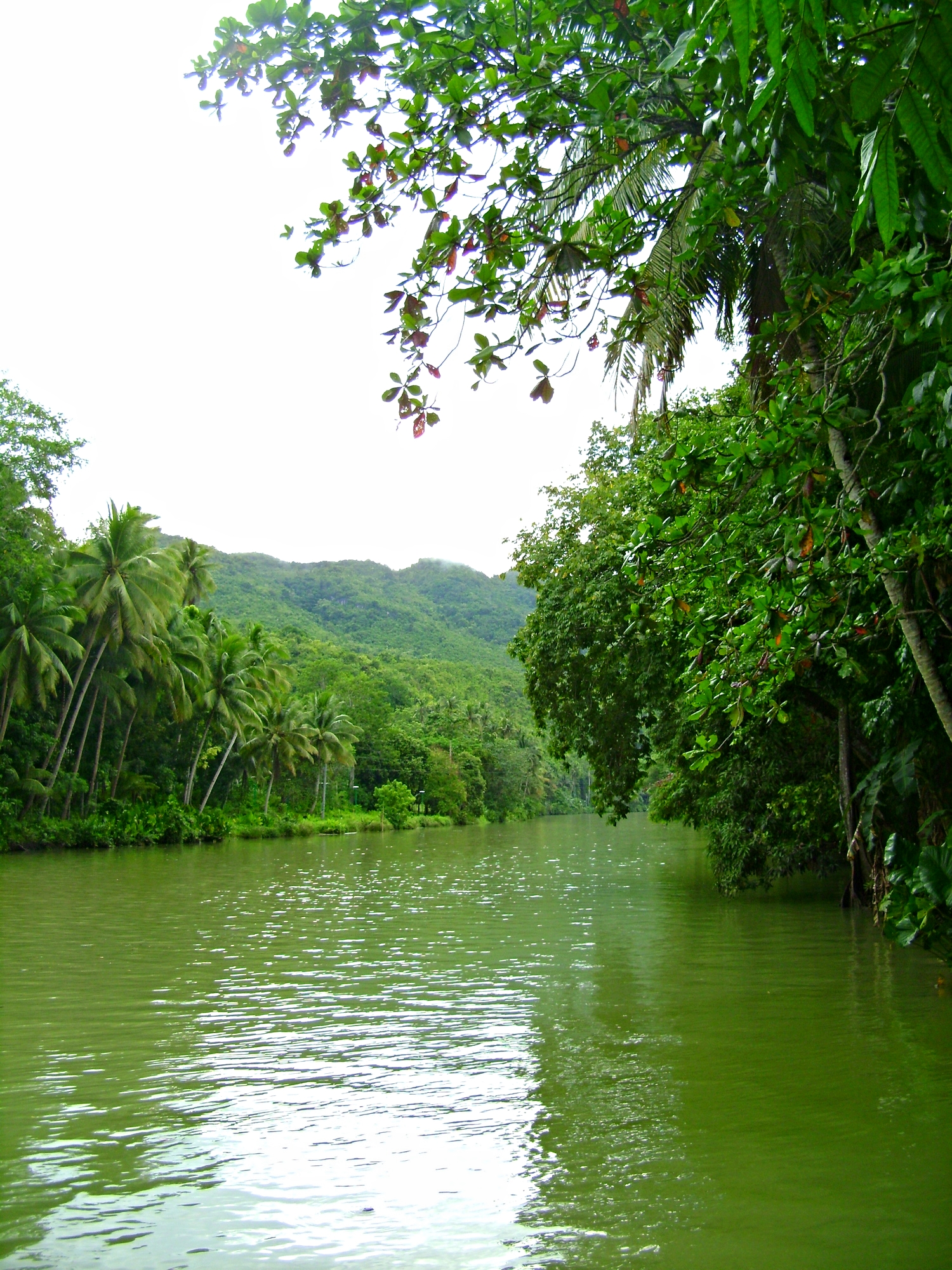 Once there was a river...