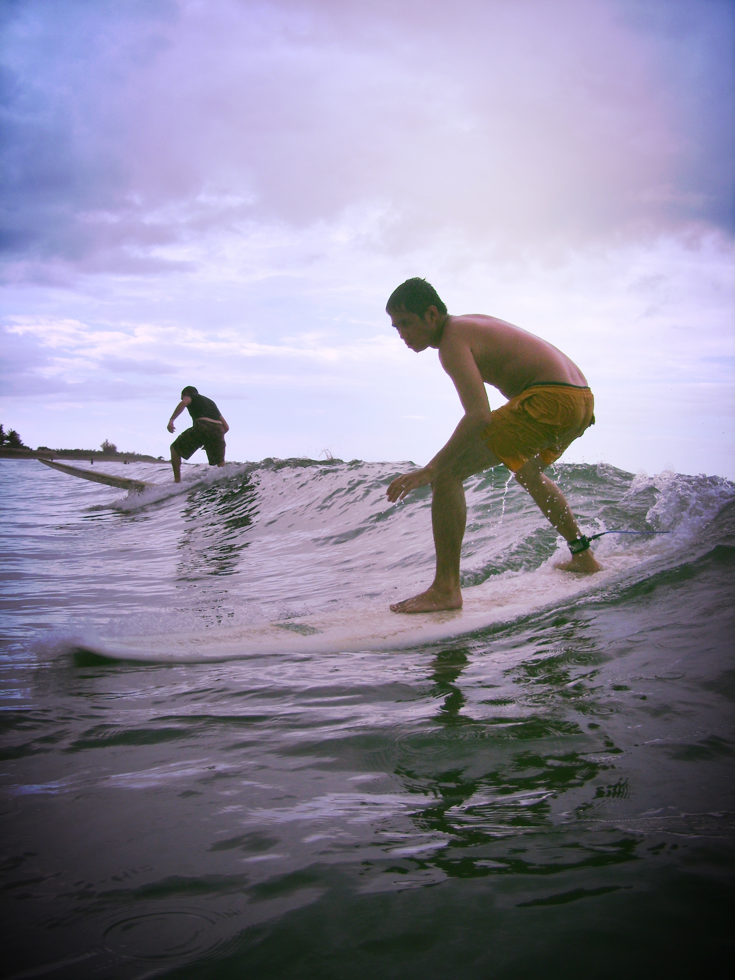 Surf Stop