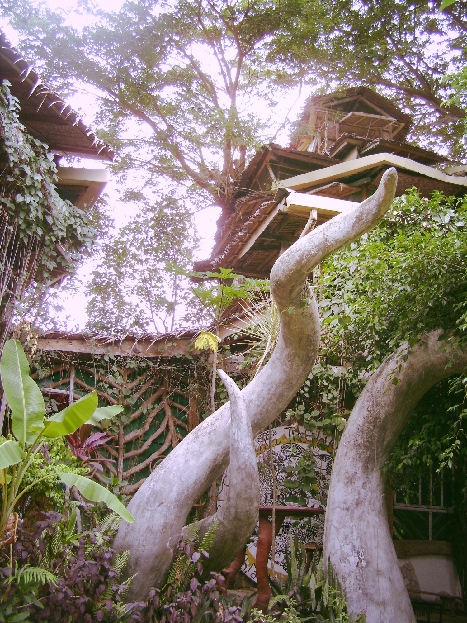 Stay in a Treehouse