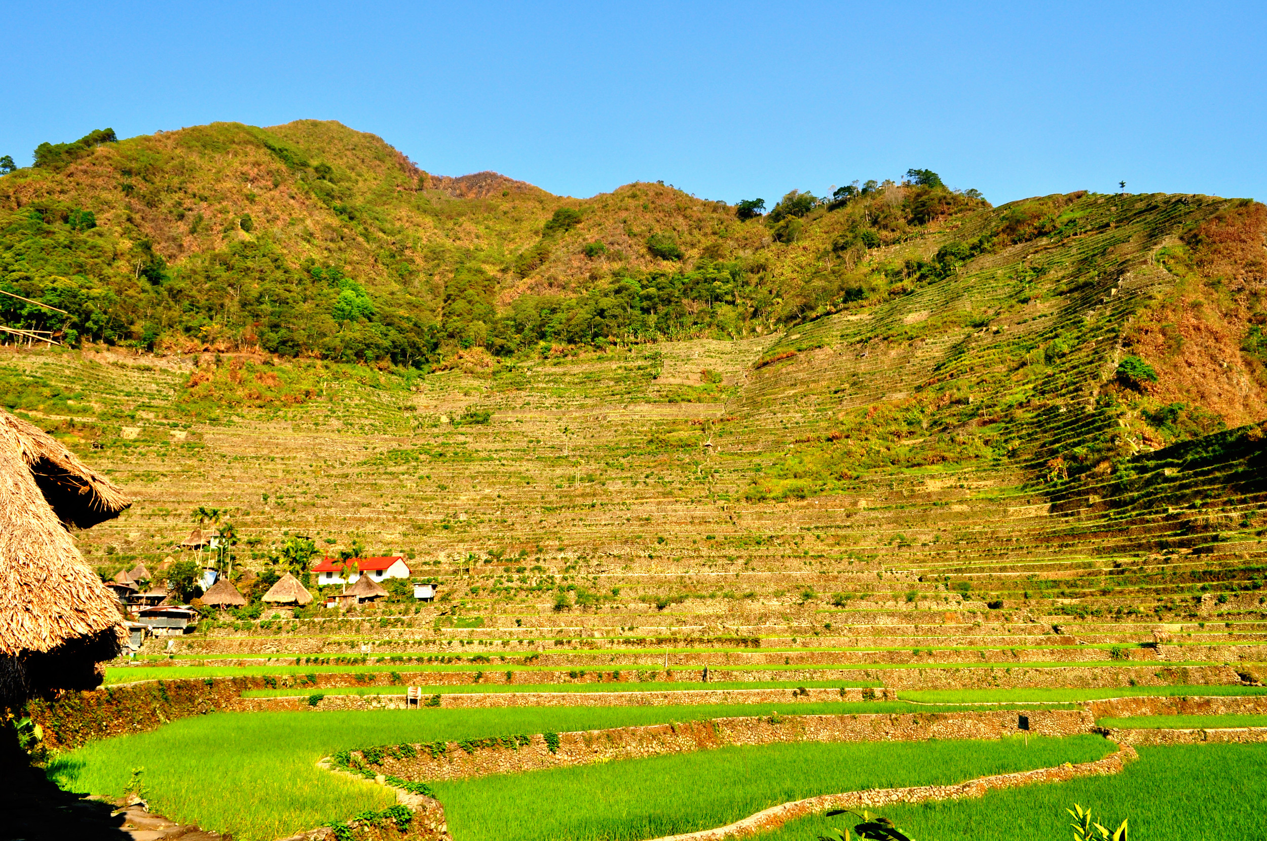 View from our Igorot Hut