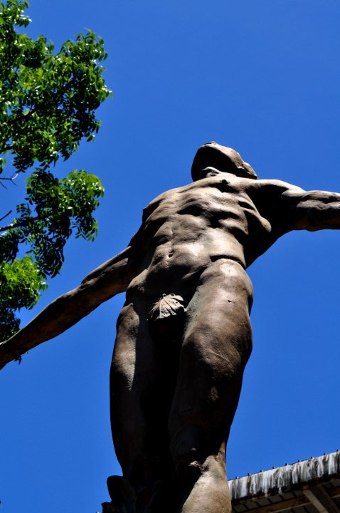 The Oblation
