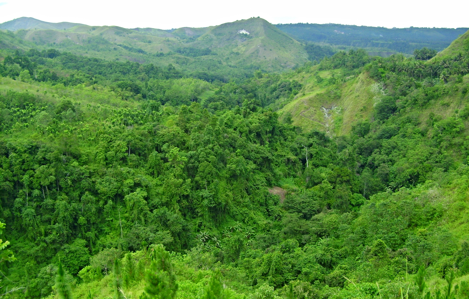 Mapawa Adventure Park