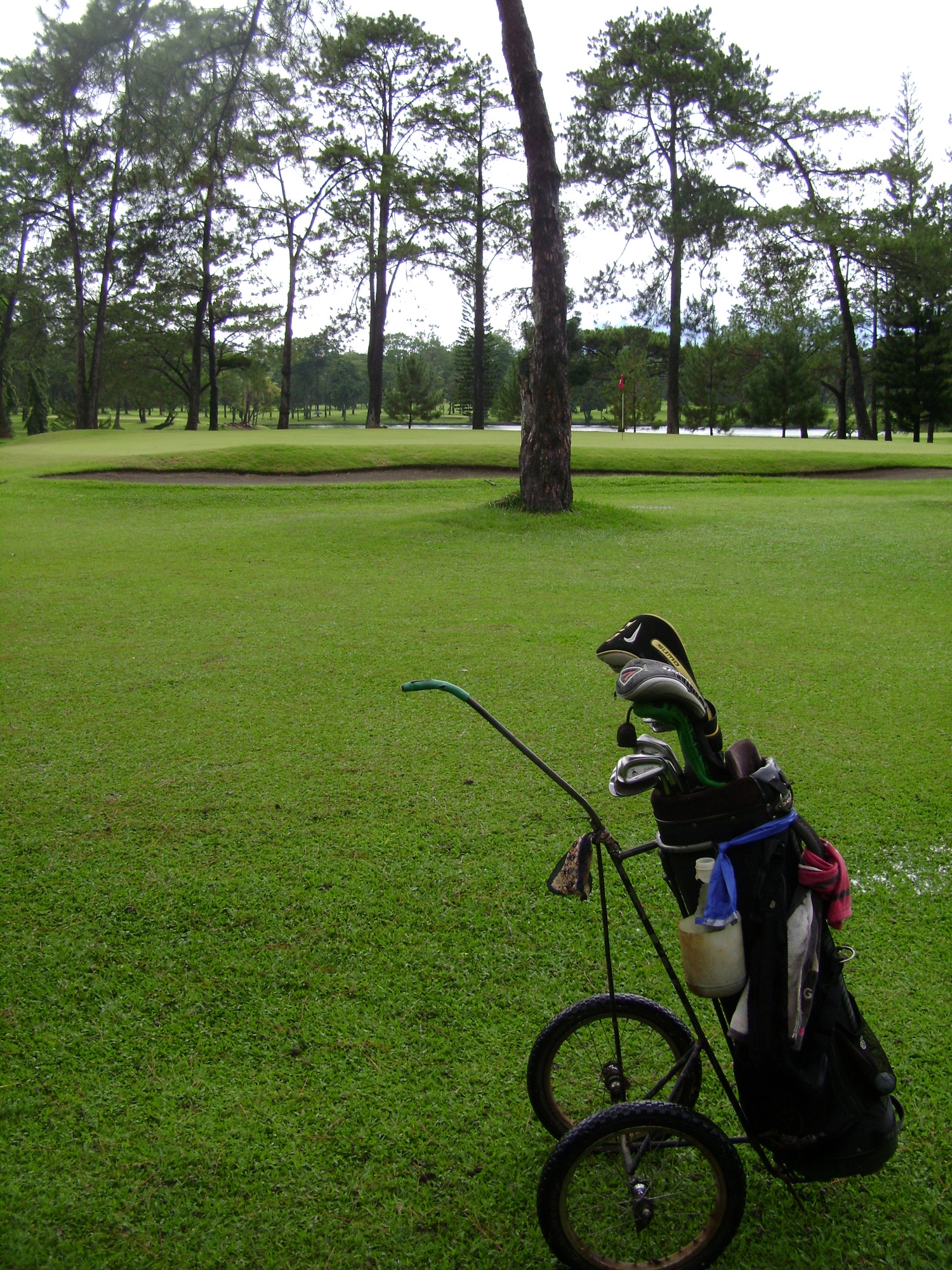 Golf Weather