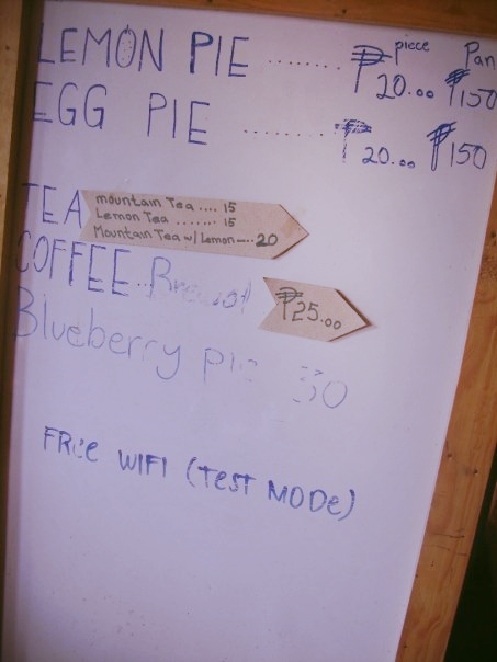 Fruit pies, Fruit pies