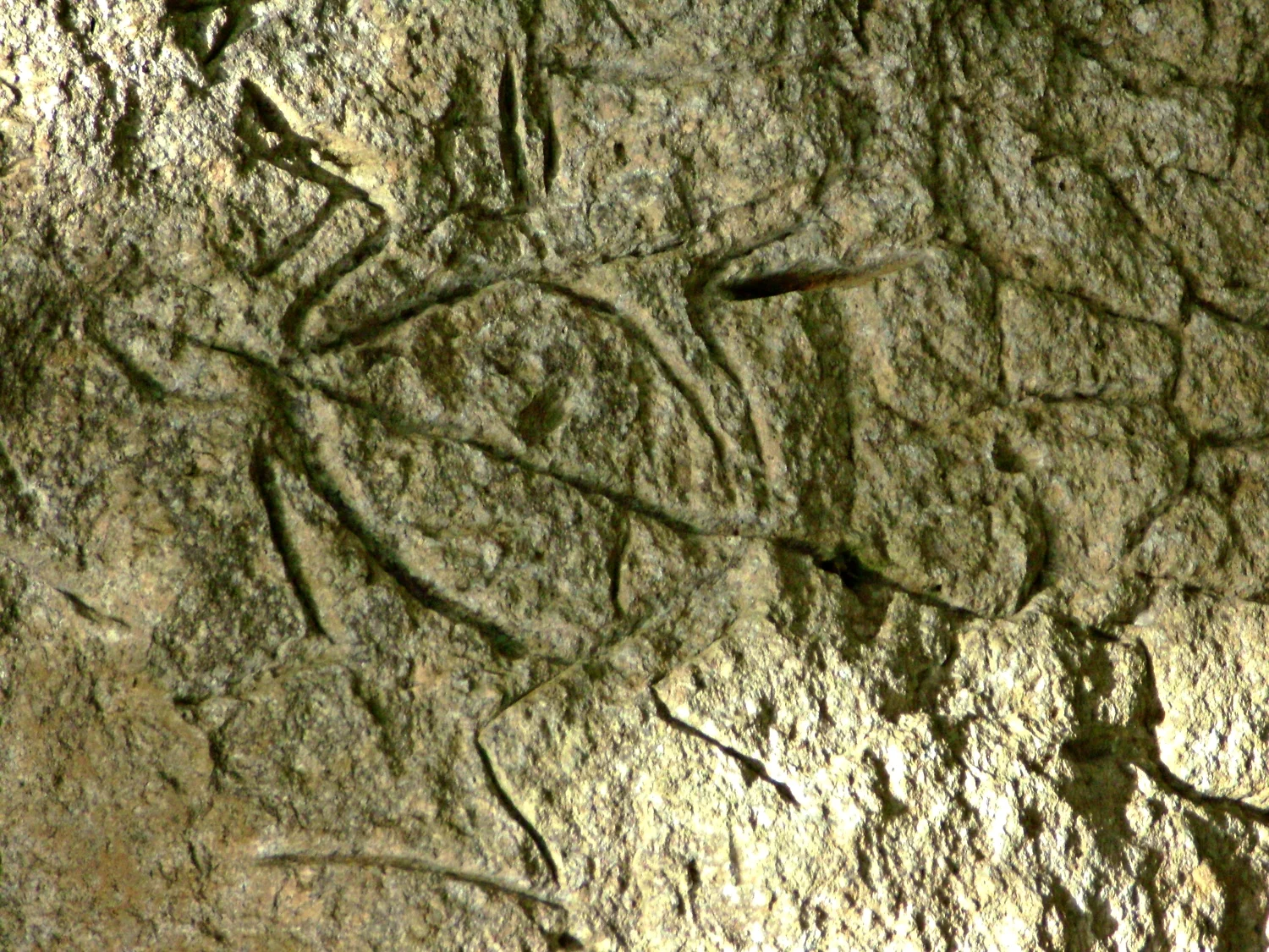 Angono Petroglyphs