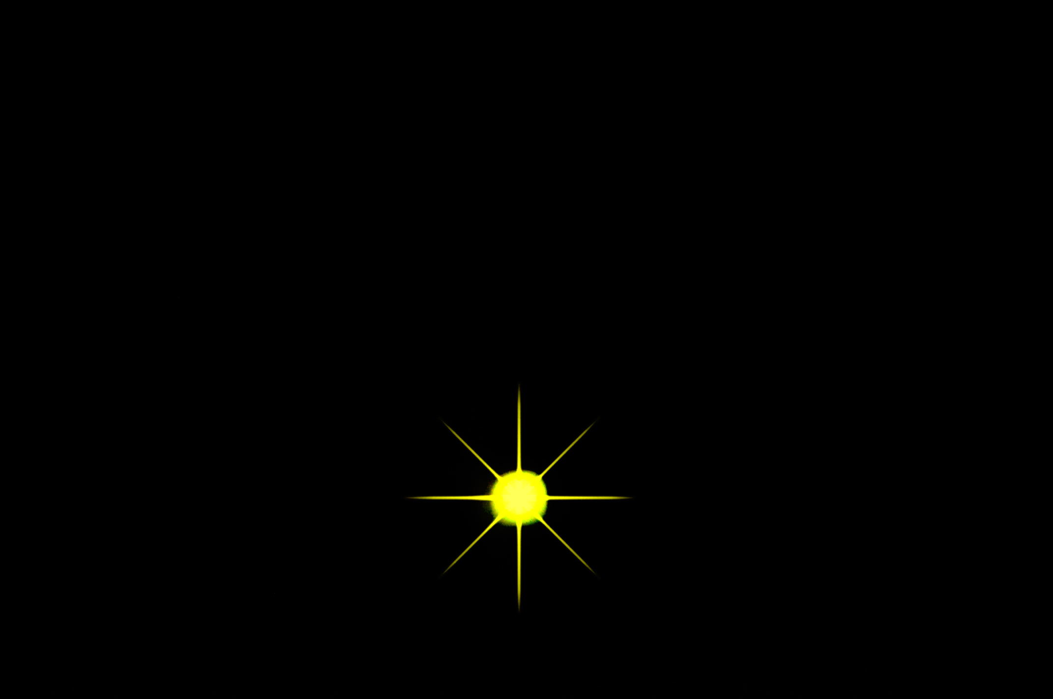 A firefly