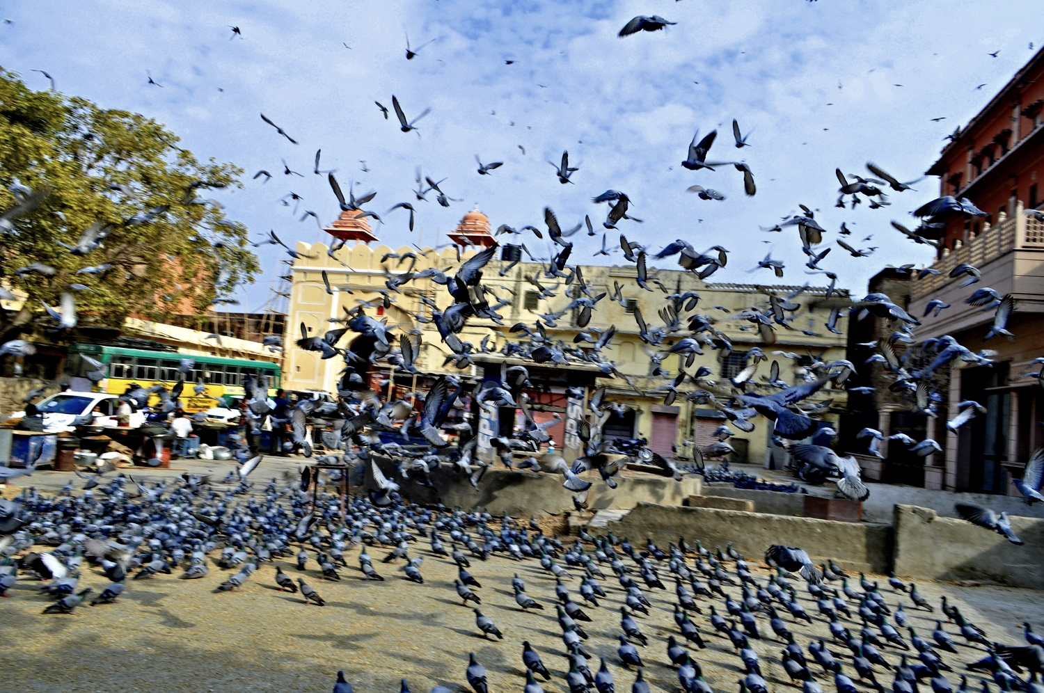 Street scenes