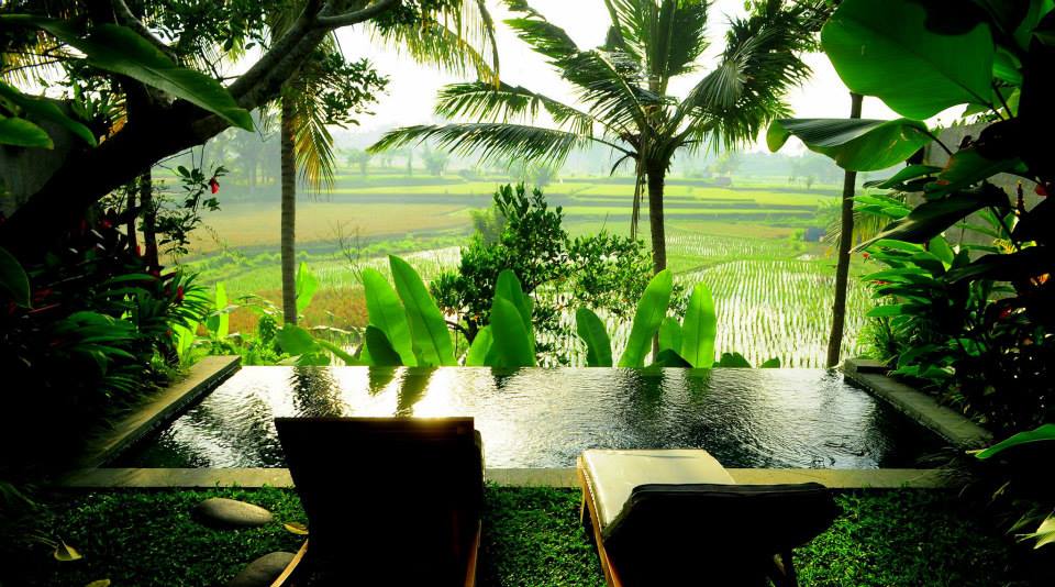 The Best Way to Enjoy Bali...
