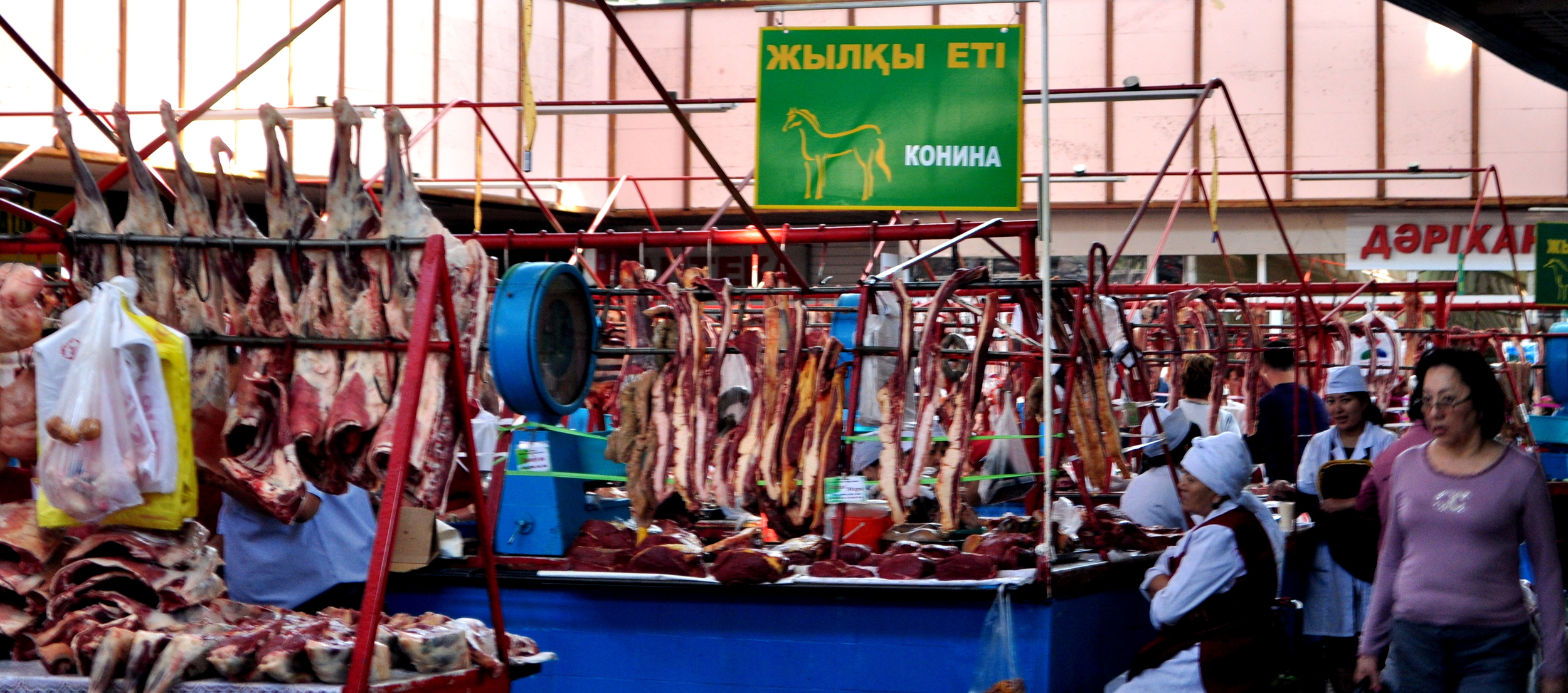Horse Meat for Sale
