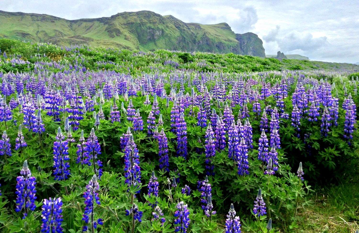 Vík í Mýrdal, Iceland's southernmost village