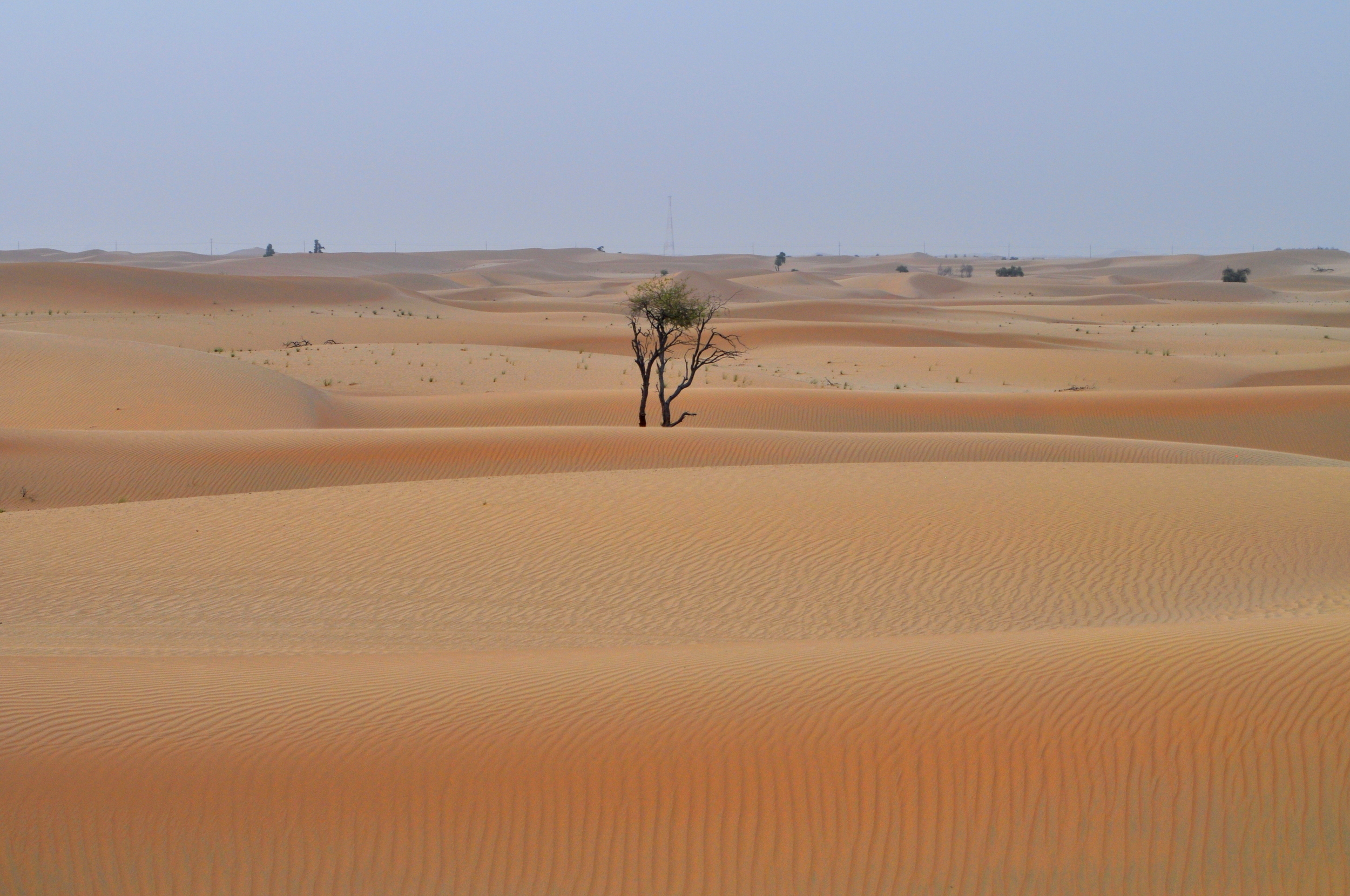The Emirati Desert