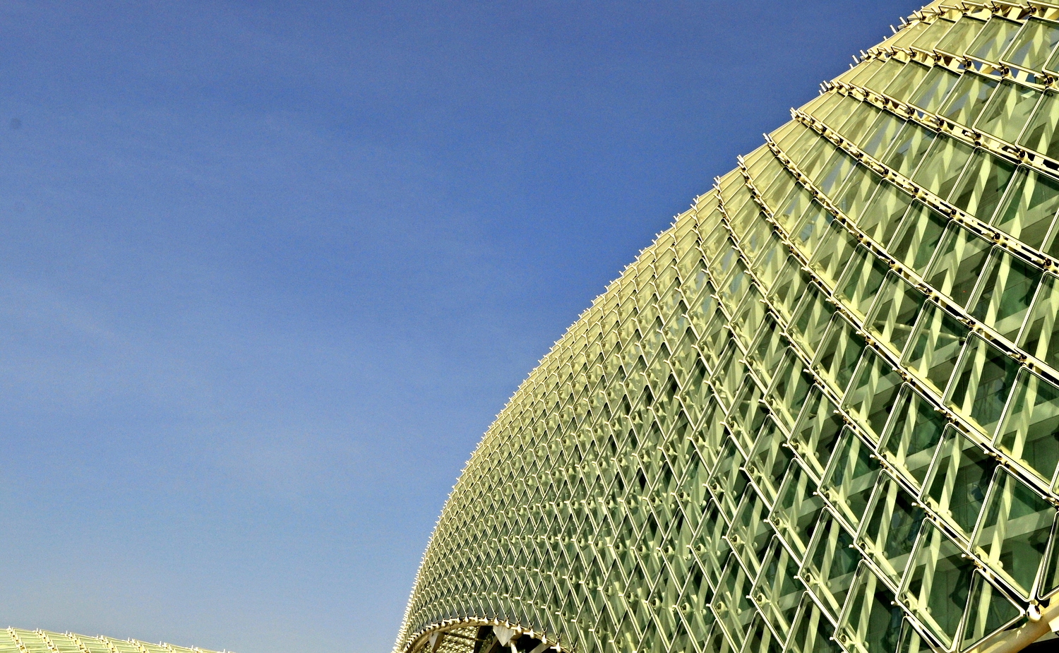 The Viceroy