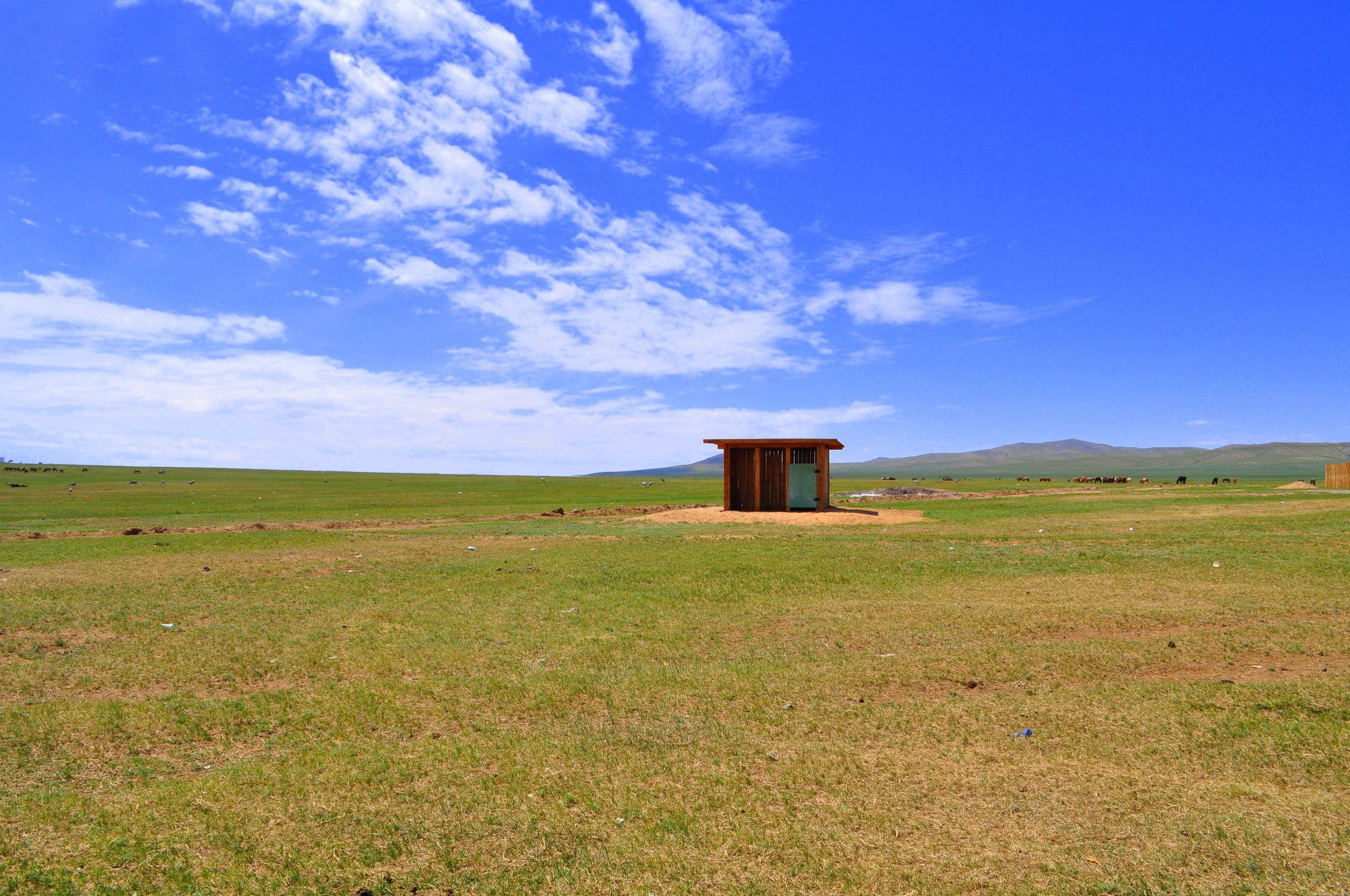 A toilet with a view