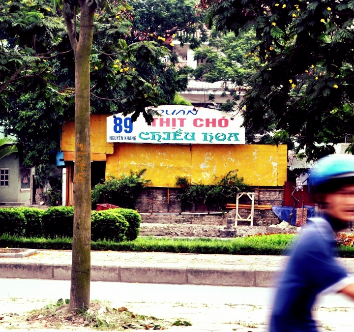 Dog Meat Trade