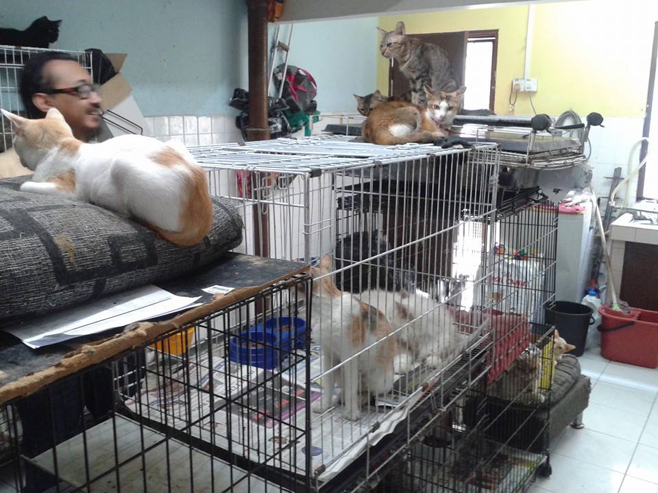 Home shelters