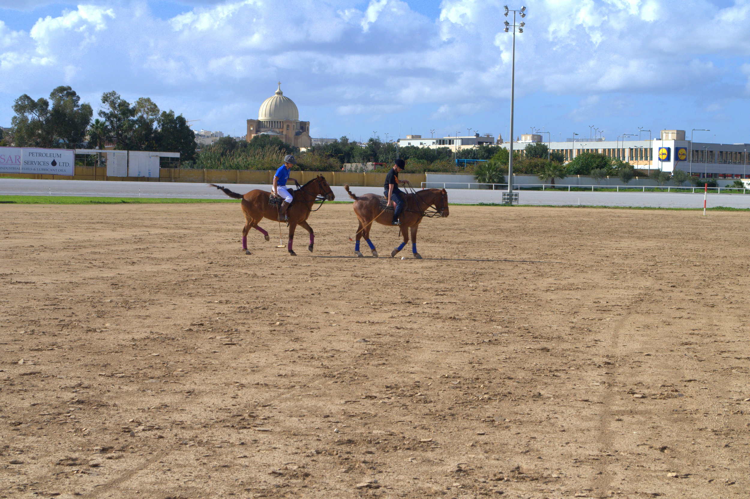 Spending an Afternoon at Malta Polo Club