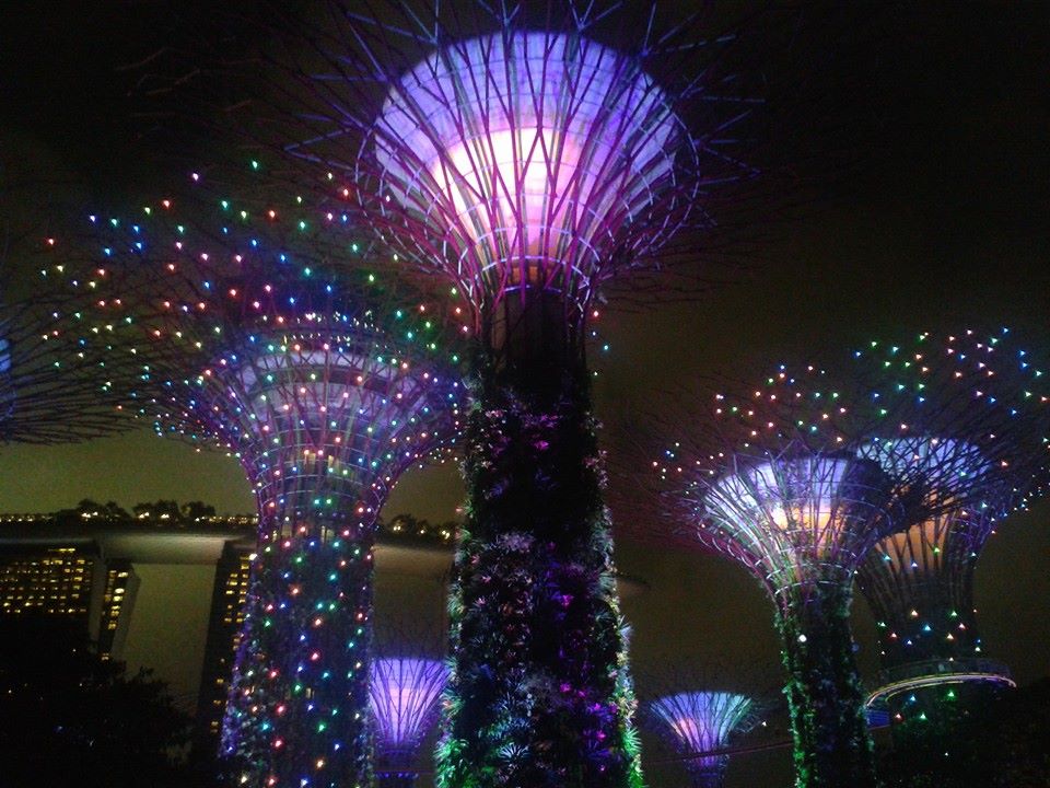 Supertree Grove