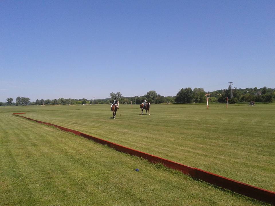 Magyar Polo Club