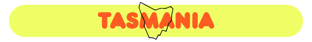 REGISTER-09.png