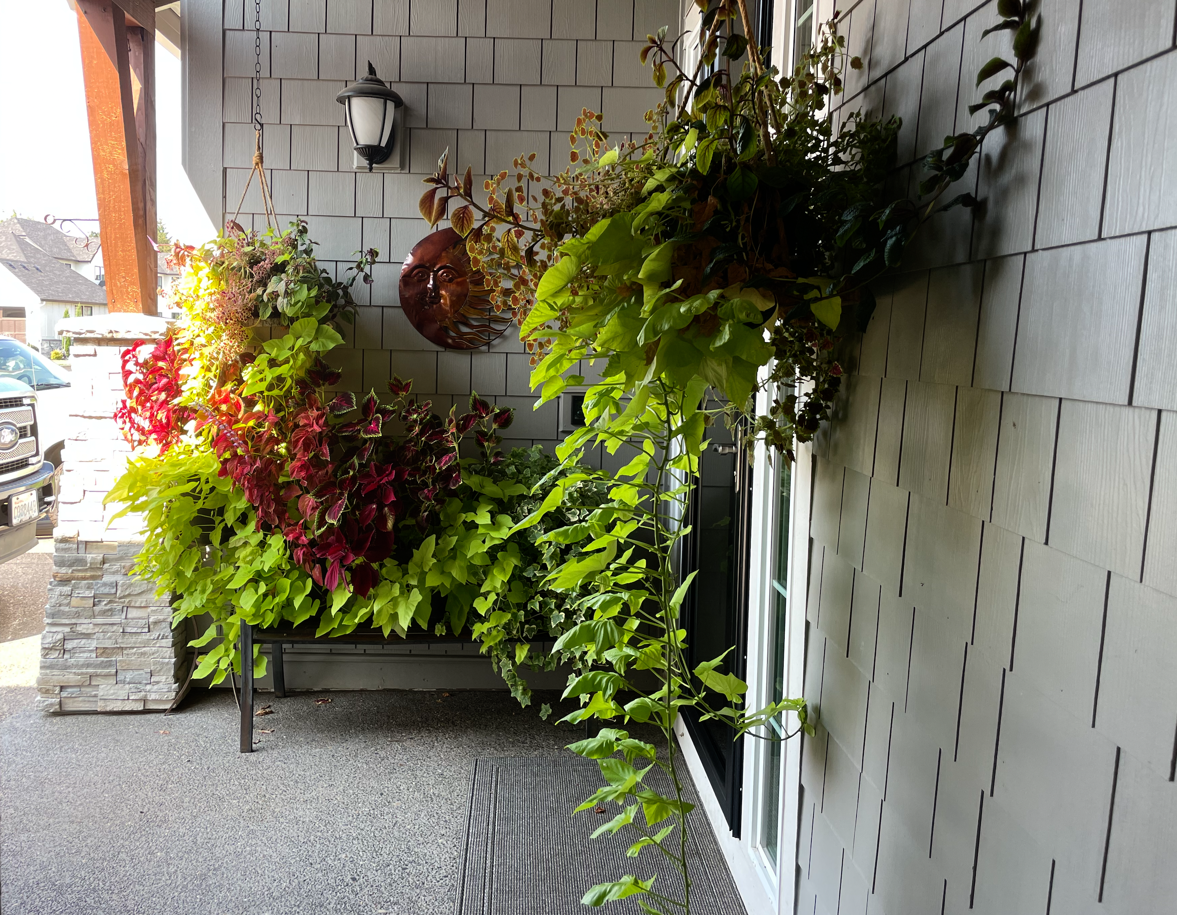 Vancouver, WA:  Clinical Thermography at a "Herzog Farms" Home in Adjacent Apartment