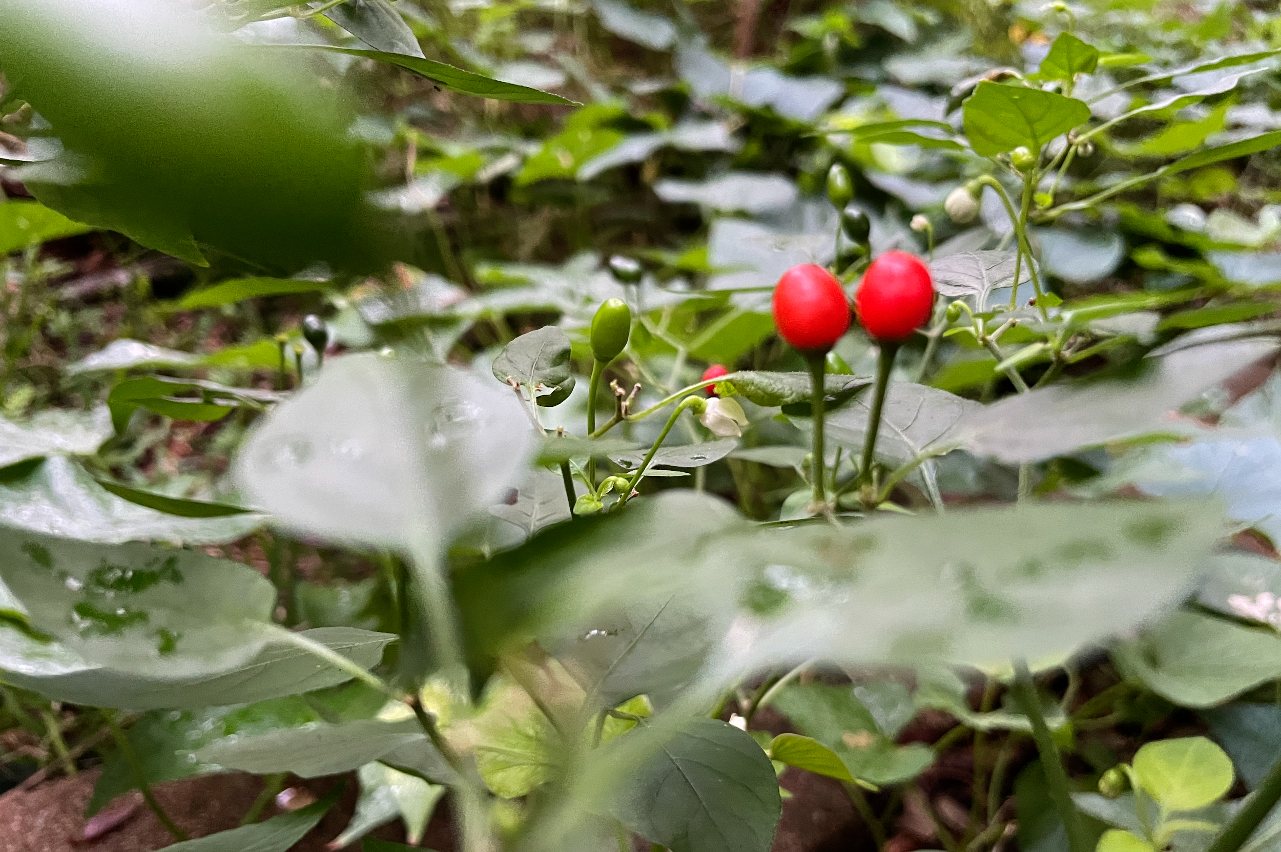 Fort Walton Beach, FL, RBT Headquarters - Visit Us in the Florida Panhandle!