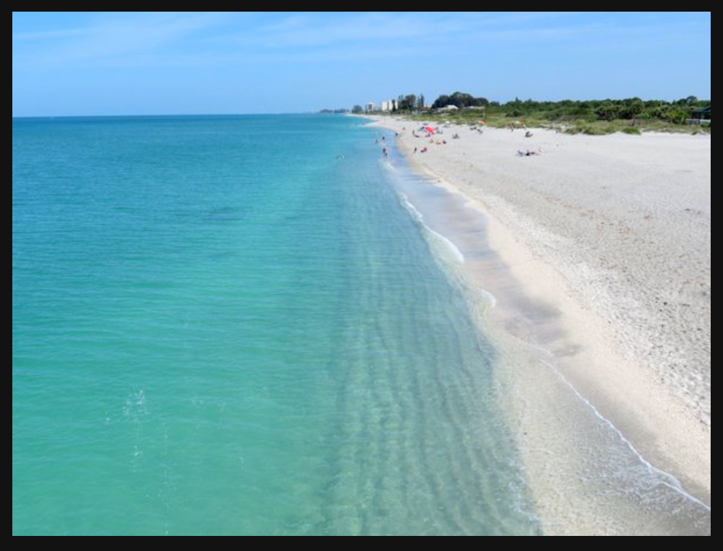 Venice, FL:  TownePlace Suites (near MOMMA BEAR CHIROPRACTIC) is the Place for Locals to Access the Country's Best Clinical Thermography Interpretation