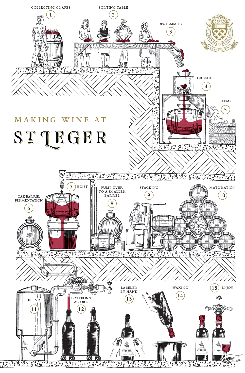 It's a small operation - the winery designer remarking with a hint of amusement that this is the smallest fully equiped winery he has ever designed....