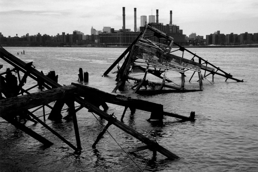 Brooklyn North Shore