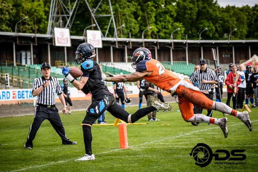Topliga PLFA