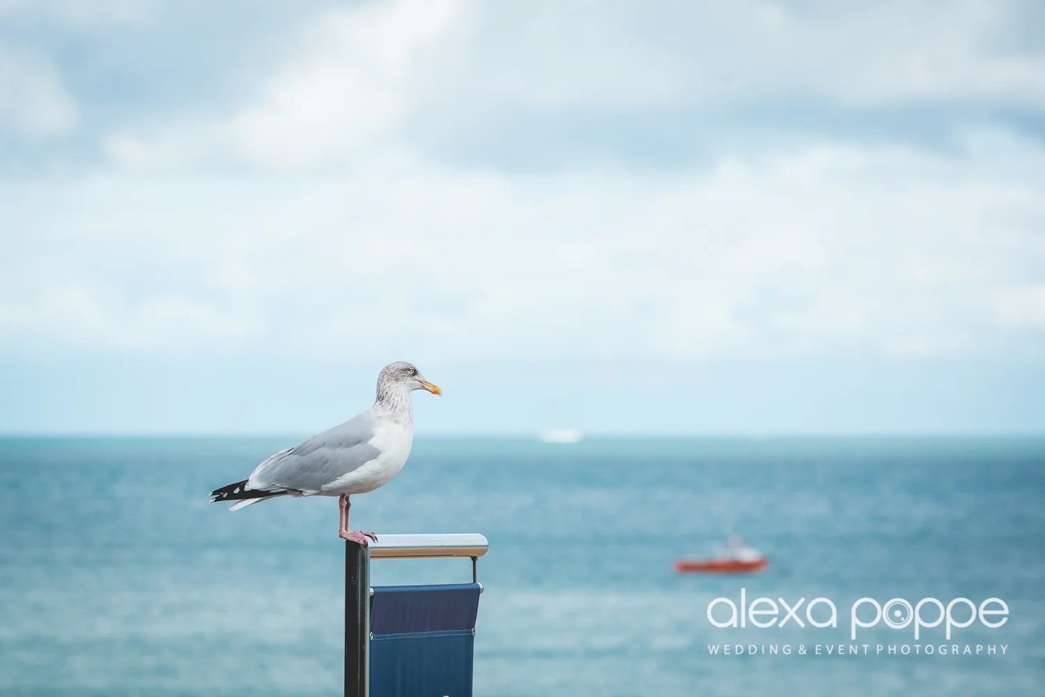 SS_wedding_stives_cornwall-34.jpg
