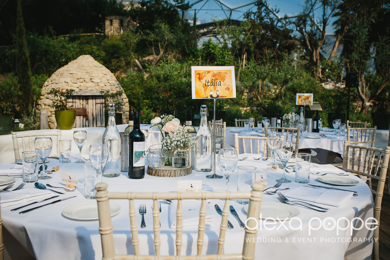 DC_wedding_edenproject-43.jpg