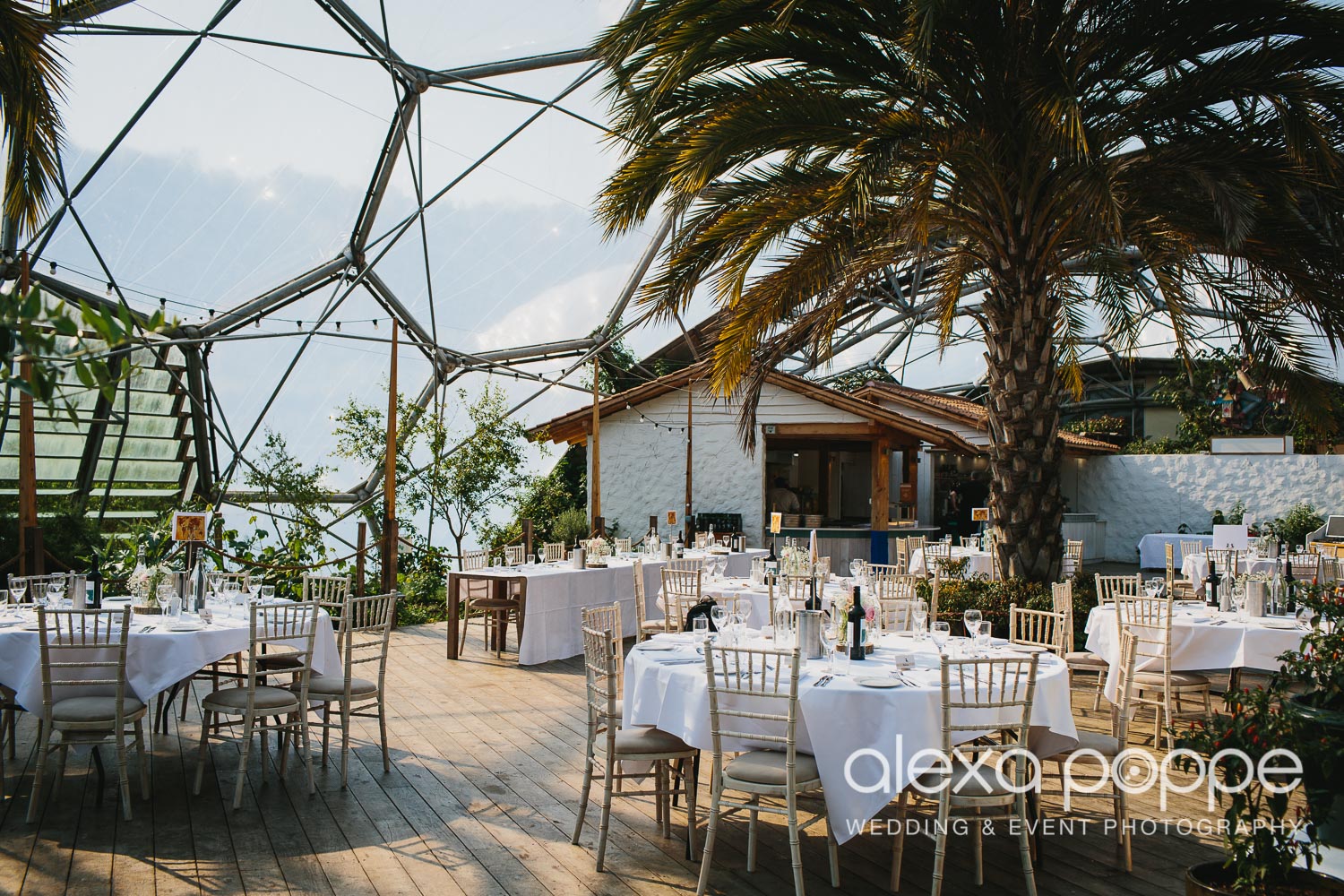 DC_wedding_edenproject-46.jpg